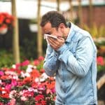Maua i Ausetalia se togafiti o le hay fever